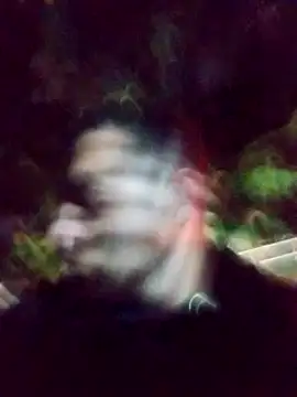 mis312 online show from 03-04-25, 01:45