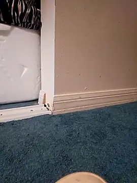 Snapshot of jorwee chatting on 01-27-25, 08:17 jorwee online show from 01-27-25, 08:17