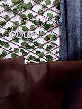 Snapshot of Bold-Cat chatting on 02-07-25, 06:02 Bold-Cat online show from 02-07-25, 06:02