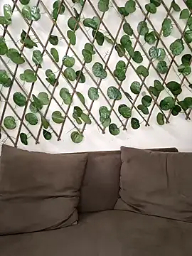 Snapshot of Bold-Cat chatting on 10-02-25, 08:16 Bold-Cat online show from 10-02-25, 08:16