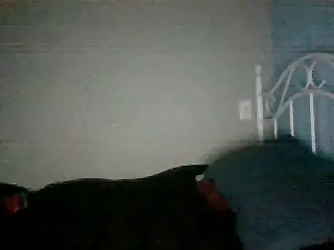 SmokingSloth online show from 03-16-25, 11:27