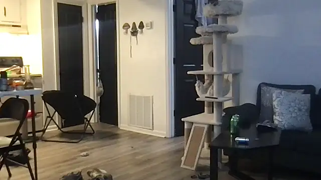 SpunCandy online show from 10-01-25, 04:29