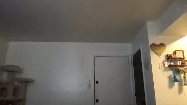 SpunCandy online show from 01-17-26, 03:17