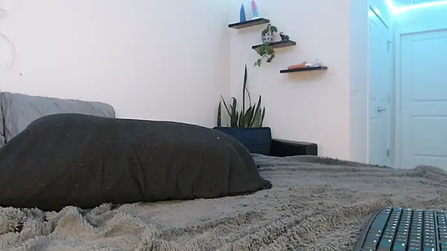 Snapshot of fallongrayxo chatting on 03-08-25, 11:28 fallongrayxo online show from 03-08-25, 11:28