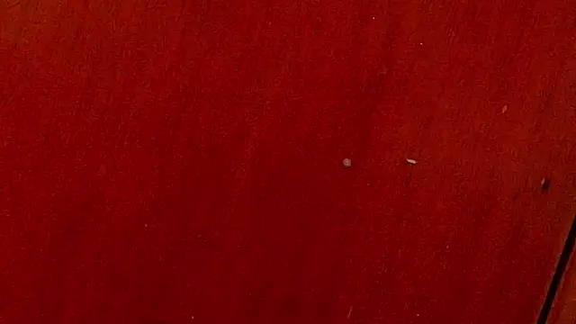 anisha x online show from 10-04-25, 07:12