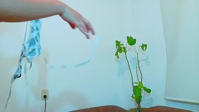 Snapshot of clydexxxbunny chatting on 12-07-24, 06:48 clydexxxbunny online show from 12-07-24, 06:48