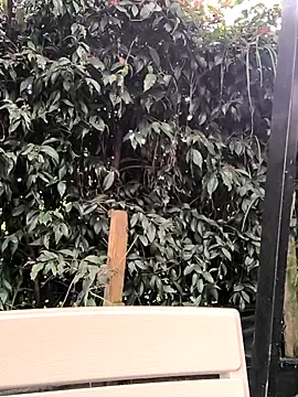 Fun Everywhere online show from 03-14-25, 08:38