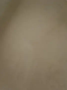 Snapshot of anabella1888 chatting on 05-08-26, 08:14 anabella1888 online show from 05-08-26, 08:14