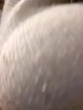 Giuliana baby online show from 03-10-25, 09:21