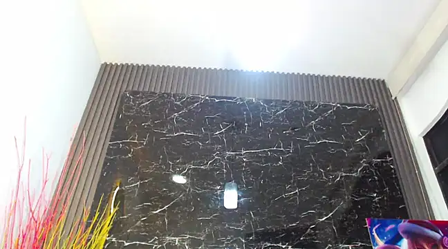 Snapshot of NalaRoy chatting on 12-15-24, 06:29 NalaRoy online show from 12-15-24, 06:29