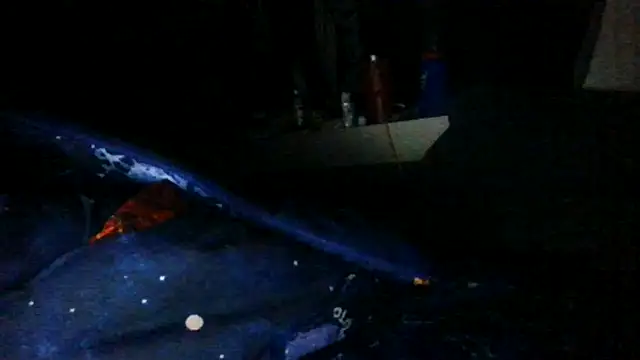 Snapshot of toast843 chatting on 02-09-25, 06:22 toast843 online show from 02-09-25, 06:22