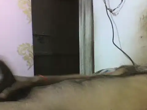 Desi GfBf online show from 03-03-25, 05:50