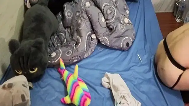 Big19Asia online show from 09-24-25, 03:37