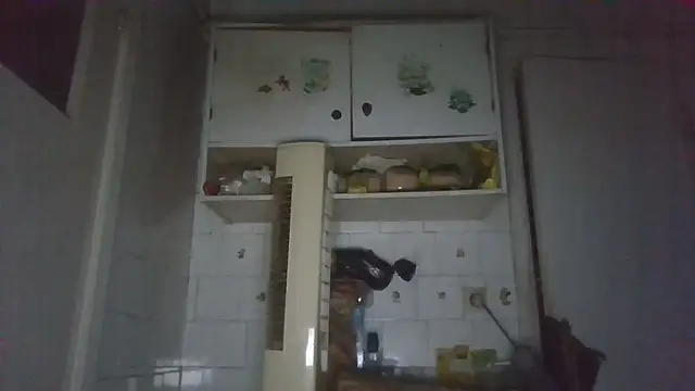 mariusica1xh online show from 03-13-26, 04:08