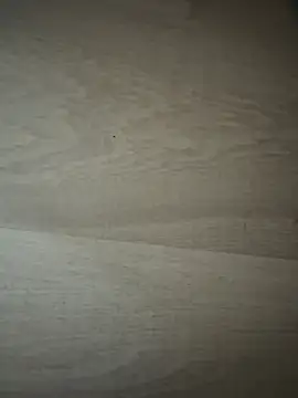 Joanachupa online show from 01-18-26, 12:20