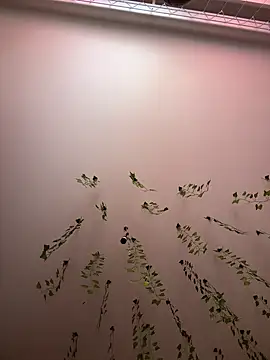 -Sexy Barbie- online show from 03-11-25, 02:43