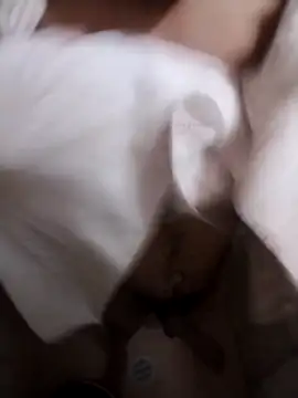 Professor Leo  online show from 02-02-26, 02:54