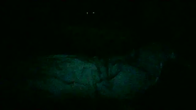 DI4MOND FIR3 online show from 11-28-25, 12:24