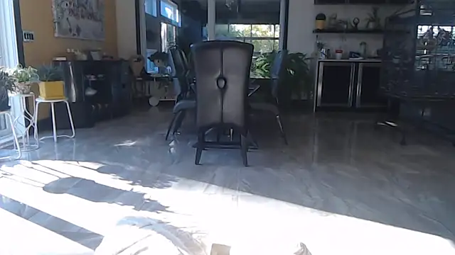 Toy-Daddy online show from 10-28-25, 06:43