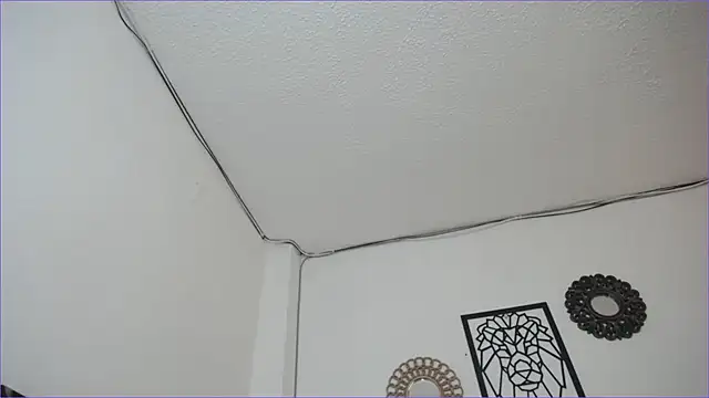 paytonbailey online show from 03-04-25, 05:03