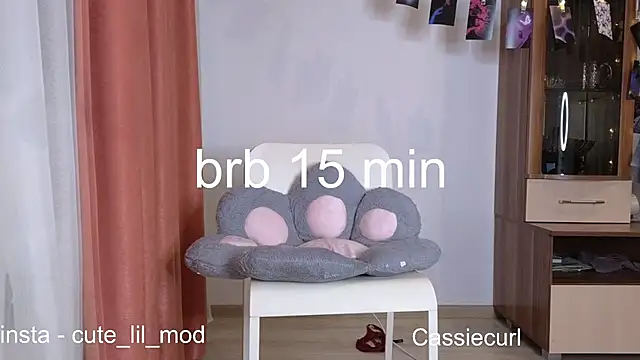 art phoenix online show from 12-01-24, 07:36