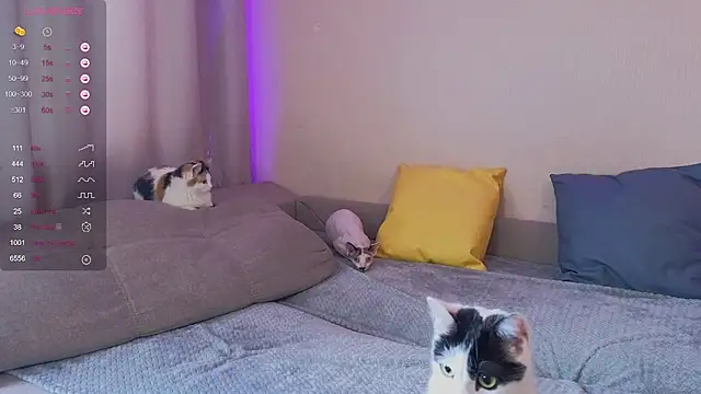 Snapshot of EkaterinaUpple chatting on 01-30-25, 05:52 EkaterinaUpple online show from 01-30-25, 05:52