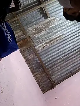 Snapshot of Sur1711 chatting on 01-05-26, 07:17 Sur1711 online show from 01-05-26, 07:17