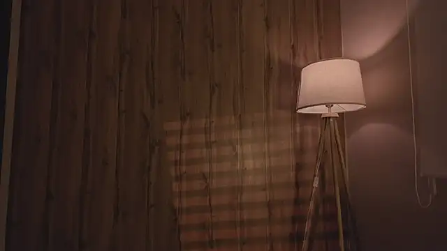 MariMaddison online show from 11-11-25, 08:09