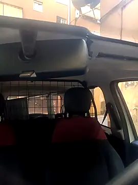 Porco81cazzo online show from 11-29-25, 08:50