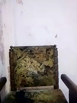 Bulbul 02 online show from 03-05-25, 10:44