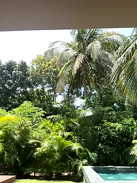 Snapshot of Olivia_Collins1 chatting on 09-16-25, 04:52 Olivia Collins1 online show from 09-16-25, 04:52