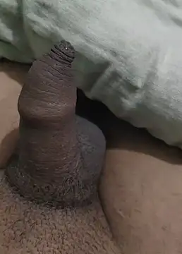 iaparna online show from 12-29-24, 06:38