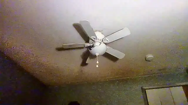 VanceFontaine online show from 04-20-26, 05:05