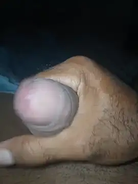 taylorWiiz online show from 12-02-25, 04:40