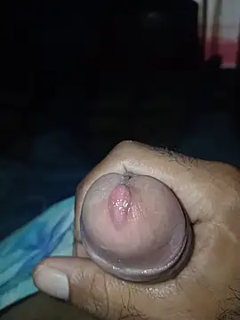 taylorWiiz online show from 02-08-26, 03:15