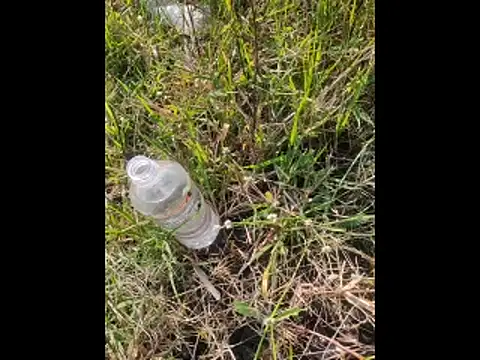 Snapshot of boy_BeardGallery chatting on 11-10-25, 09:52 boy BeardGallery online show from 11-10-25, 09:52