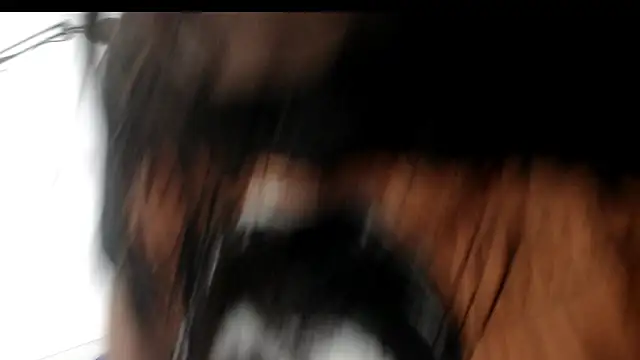 evaleribigtits18 online show from 11-24-25, 07:13