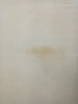 Rina777o online show from 01-27-25, 06:31