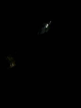 Snapshot of perlita05 chatting on 11-16-25, 02:28 perlita05 online show from 11-16-25, 02:28