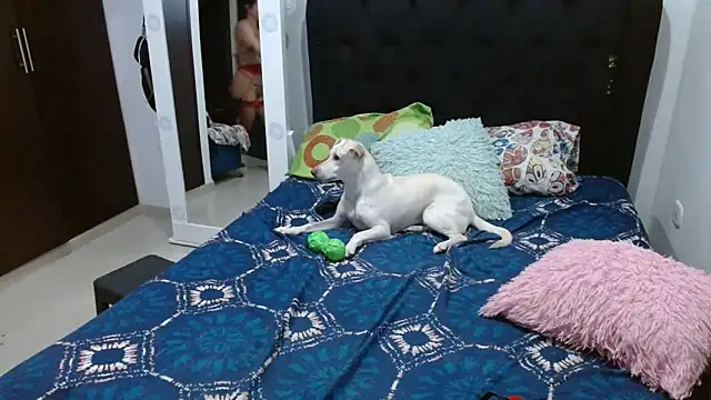 amazonafit  online show from 02-15-25, 04:14