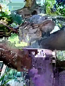 gwadaa9 online show from 12-22-25, 06:16