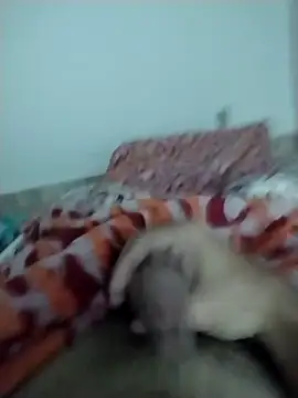 Snapshot of lm279 chatting on 02-13-25, 05:33 lm279 online show from 02-13-25, 05:33