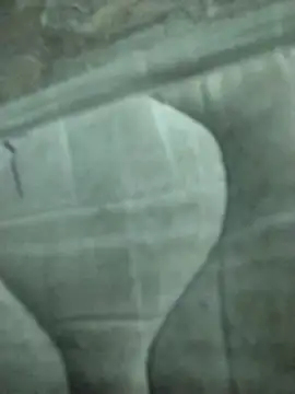 Snapshot of lm279 chatting on 02-19-25, 08:20 lm279 online show from 02-19-25, 08:20