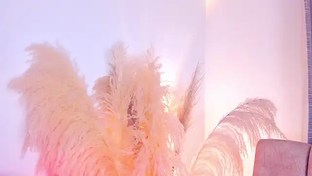 amelie murphy  online show from 12-15-24, 02:52