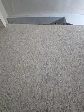 Priya Strip online show from 03-28-26, 08:30