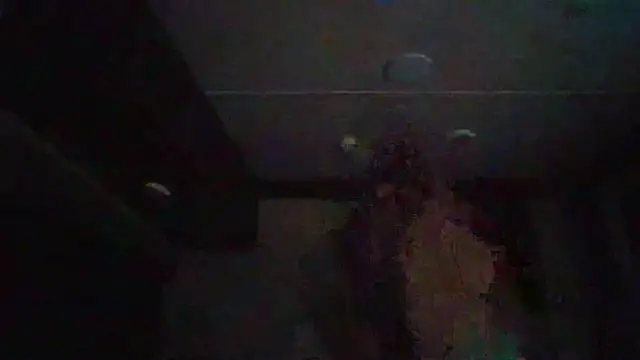 Cobra500hp online show from 02-11-26, 03:44