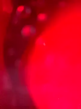 Cobra500hp online show from 03-28-26, 07:19