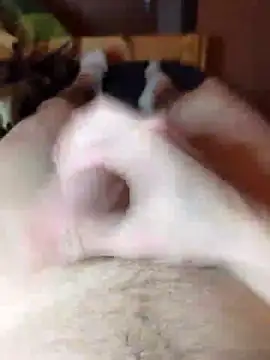 Snapshot of Crazzy_Maiky chatting on 01-29-25, 09:07 Crazzy Maiky online show from 01-29-25, 09:07