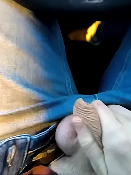 geilehecke1 online show from 01-06-25, 04:02