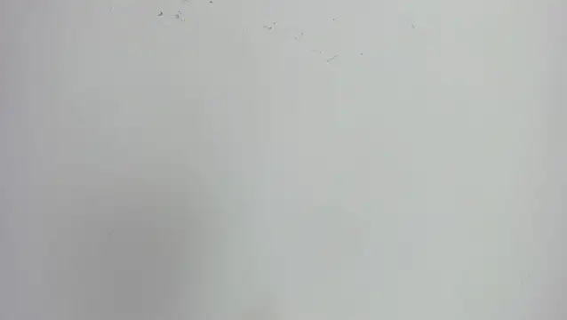 missexy303av online show from 09-24-25, 08:56